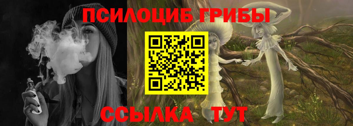 Галлюциногенные грибы Magic Shrooms Каспийск